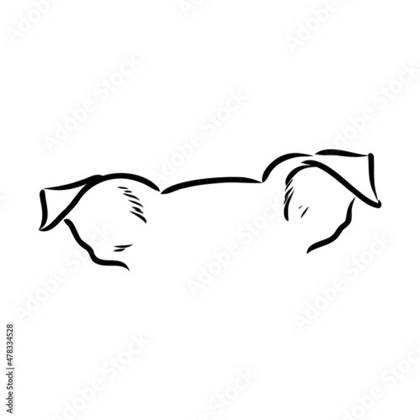 Obraz simple dog. Vector illustration. dog ears vector sketch