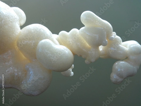 Fototapeta Abstract Polyurethane Foam