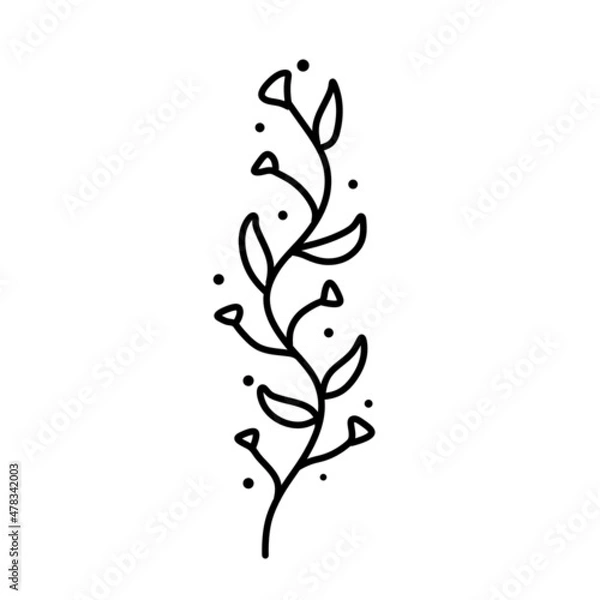 Fototapeta Branch of plant. Leaves in line style. Black and white natural illustration. Sketch Minimalism and simple flora.
