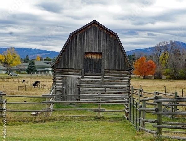 Obraz barn