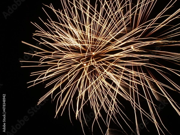 Fototapeta OLYMPUS DIGITAL CAMERA