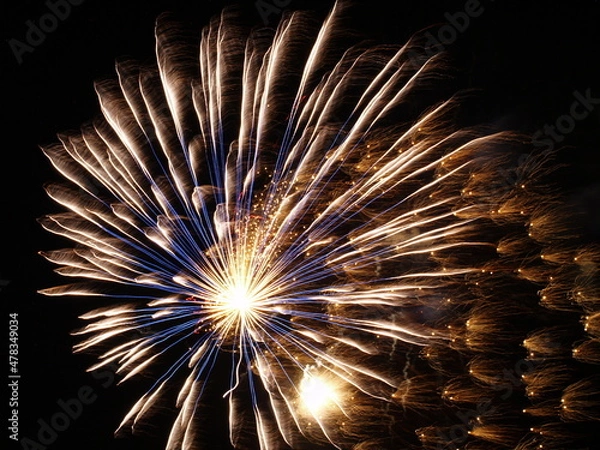 Fototapeta OLYMPUS DIGITAL CAMERA