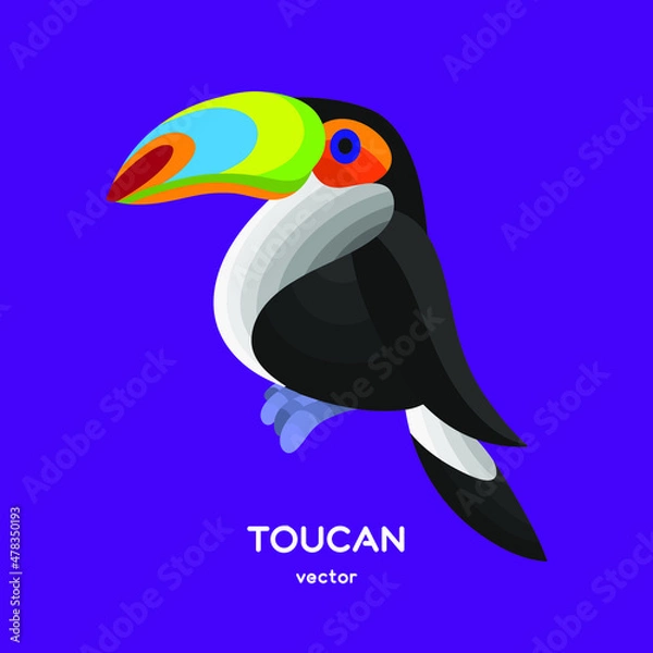 Fototapeta vector isolated cartoon tocan bird 