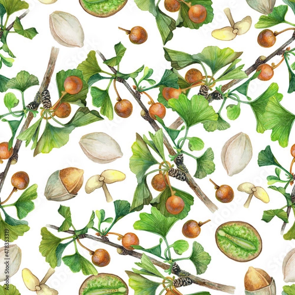 Obraz Seamless watercolor pattern with different parts of the Ginkgo biloba plant on a white background