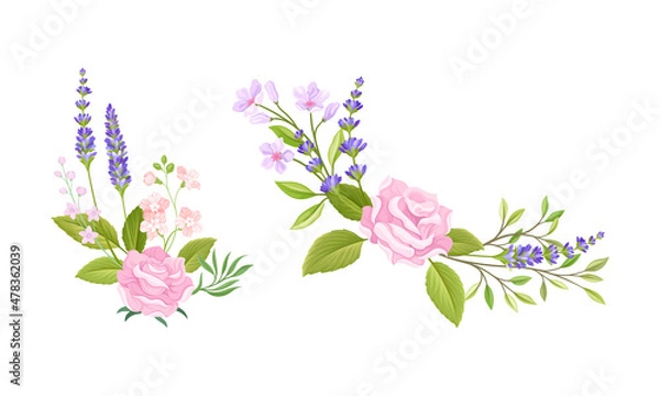Fototapeta Pink Rose Bud and Tender Lavender Flower Twigs Arranged in Decor Composition Vector Set