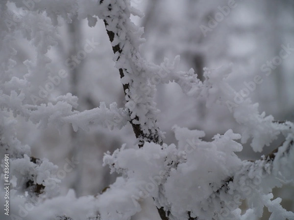 Fototapeta OLYMPUS DIGITAL CAMERA