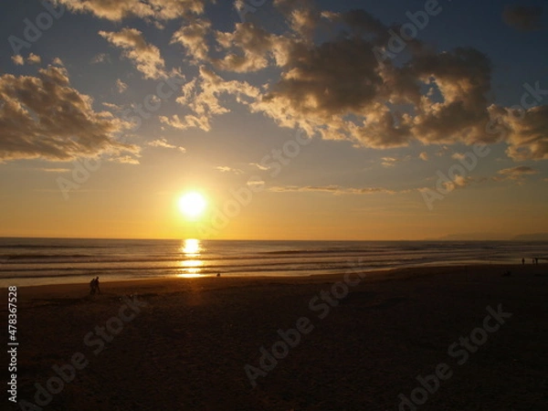 Fototapeta OLYMPUS DIGITAL CAMERA