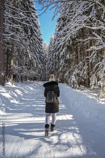 Fototapeta Woman walking in the mountains in a snowy forest.