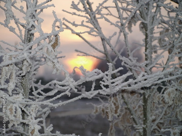 Fototapeta OLYMPUS DIGITAL CAMERA