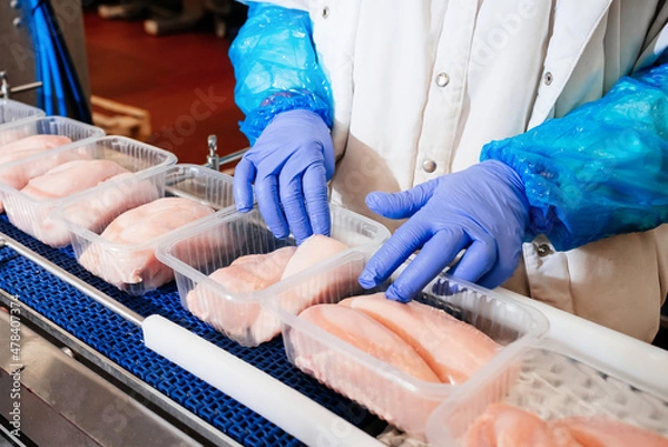 Obraz Conveyor Belt Food.Modern poultry processing plant.Meat processing plant.Chicken fillet production line.Automated production line in modern food factory.