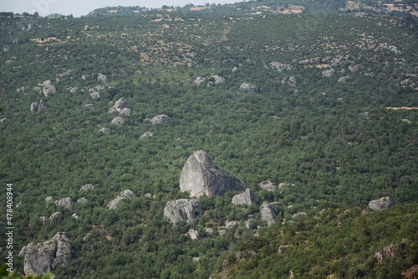 Obraz landscape in the mountains