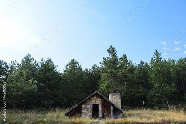 Obraz house in the mountains