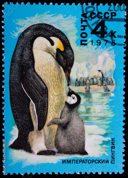 Fototapeta Postage stamp