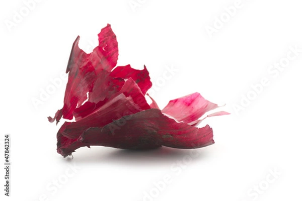 Obraz red onion peel