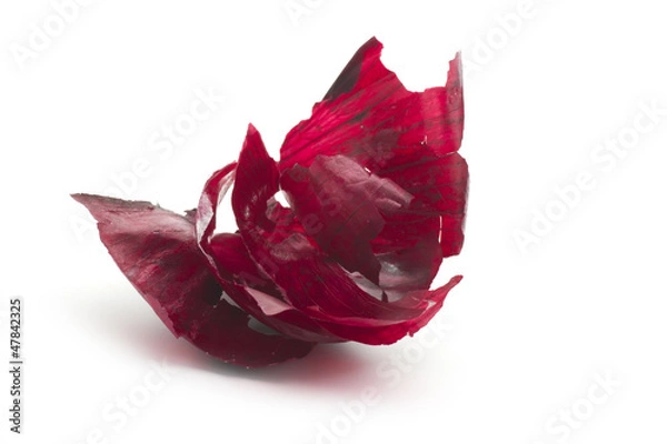 Obraz red onion peel