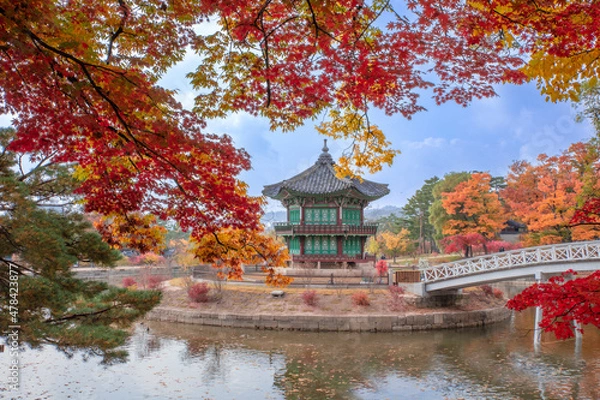 Fototapeta 향원정의 가을