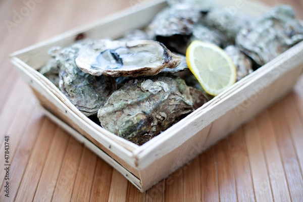 Obraz bourriche d'huitres panier