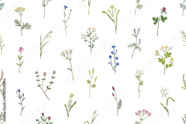 Fototapeta Seamless floral pattern. Wild flowers and herbs background. Romantic botanical print with field blooms. Repeating texture for wrapping and textile. Colored flat vector illustration for decoration