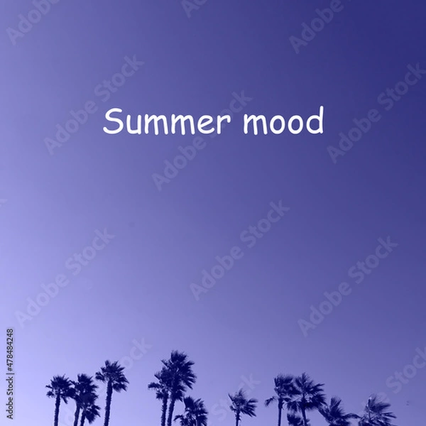 Fototapeta Toned with Very Peri color row palm trees' tops on the background of clear blue sky with text summer mood as example. Real estate, villa near the sea, luxury property, rent room and travelling