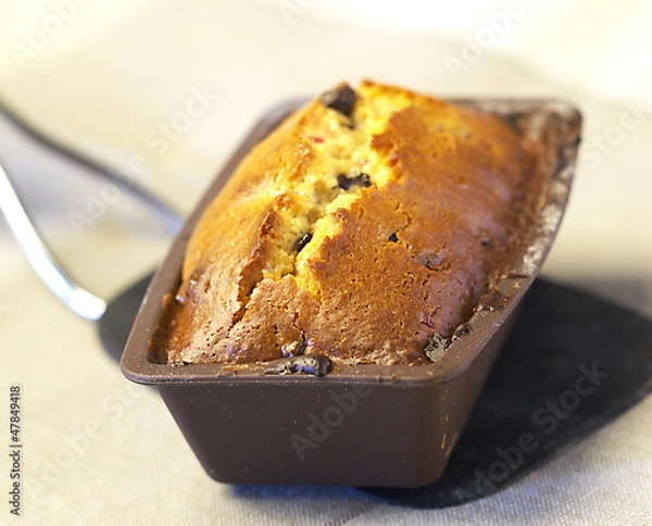 Obraz CAKE AUX RAISINS