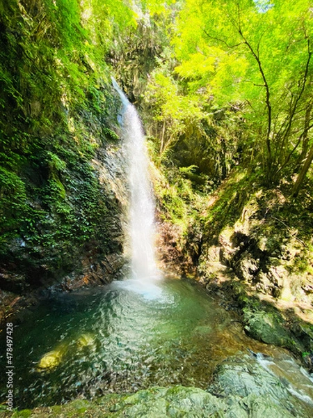 Fototapeta 「払沢の滝」写真