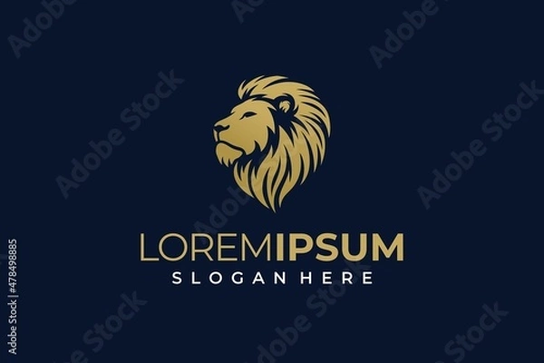 Fototapeta Elegant lion head logo on dark background