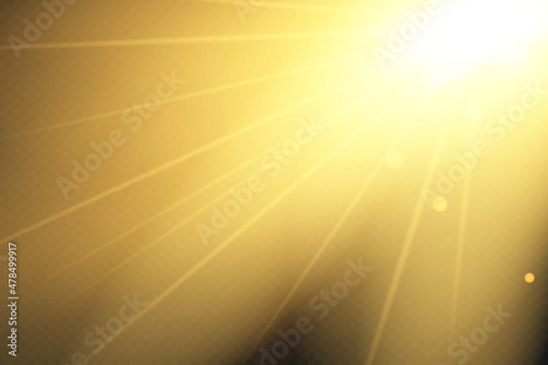 Fototapeta Vector transparent sunlight special lens flash light effect.front sun lens flash. Vector blur in the light of radiance. Element of decor. Horizontal stellar rays and searchlight.