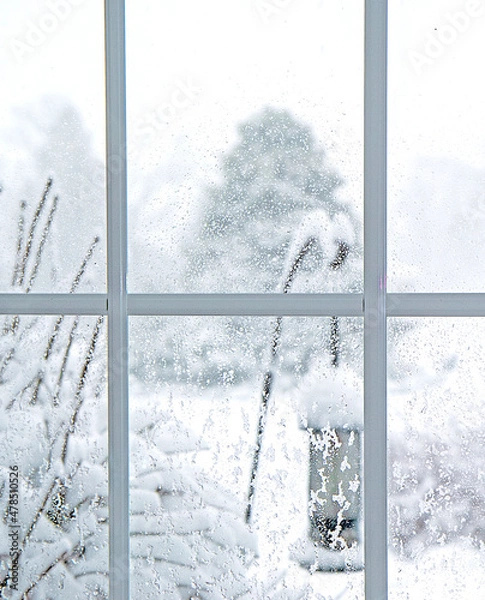 Fototapeta View from a window after a snowstorm.   Window panes can be seen.  Plants outside are covered in snow.