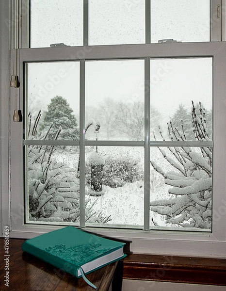 Fototapeta View through a window after a snowstorm and a teal-blue book sitting on the desk in the forefront.
