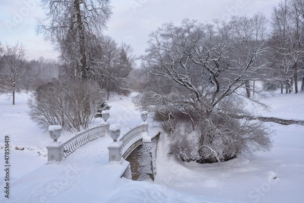 Fototapeta Winter weather in the forest.