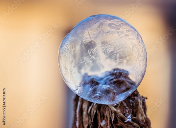Obraz Frozen Bubble