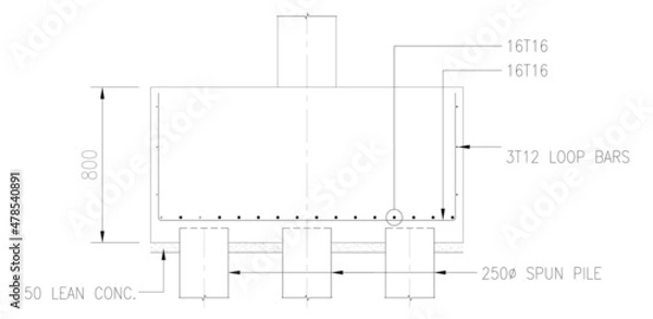 Fototapeta Plan and sections of pile cap design drawing shown technical drawing using CAD and in 2D format. The design by the structural engineers for use of builders at the construction site. 
