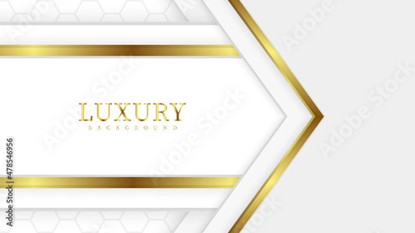 Fototapeta luxury golden lines background Shades of white and gray in 3D abstract style. Vector illustration.