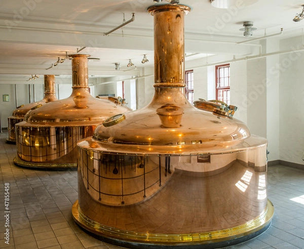 Obraz Carlsberg beer beverage