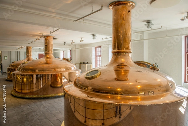 Obraz Domy warzenia.