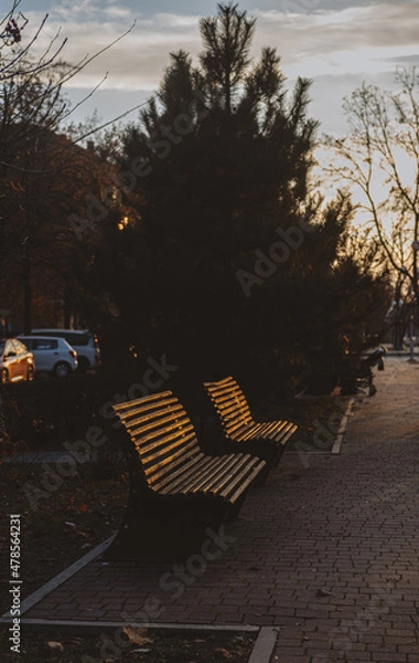Fototapeta bench in the sunset