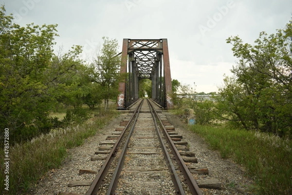 Obraz Trolley Bridge