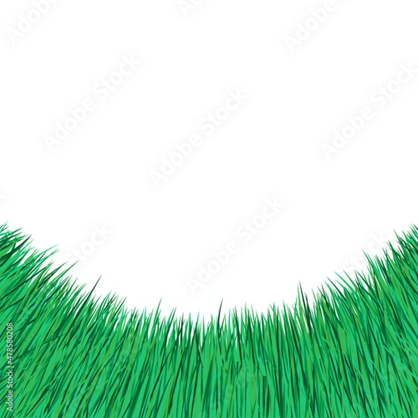 Obraz Grass green background