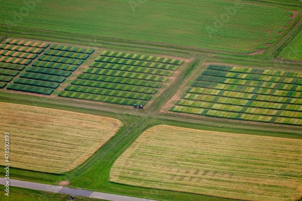 Fototapeta Agriculture Prince Edward Island Canada