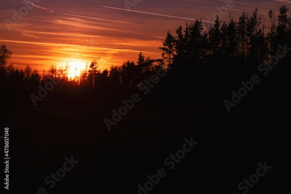 Obraz Colourful sunset over the tops of coniferous trees.