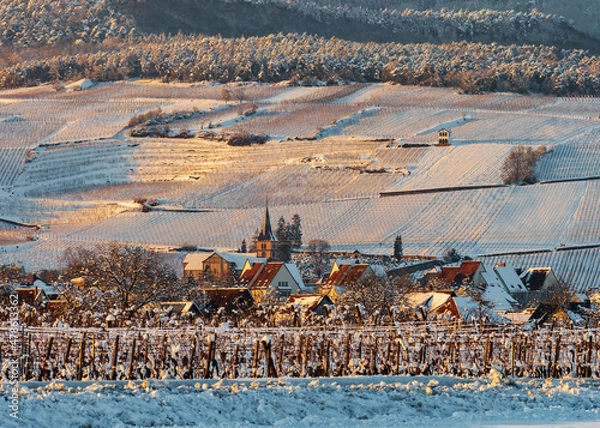 Fototapeta The warm colors of the setting sun on the snowy foothills of the Vosges. Alsace.