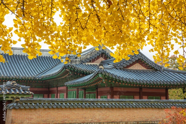 Fototapeta 경복궁의 가을