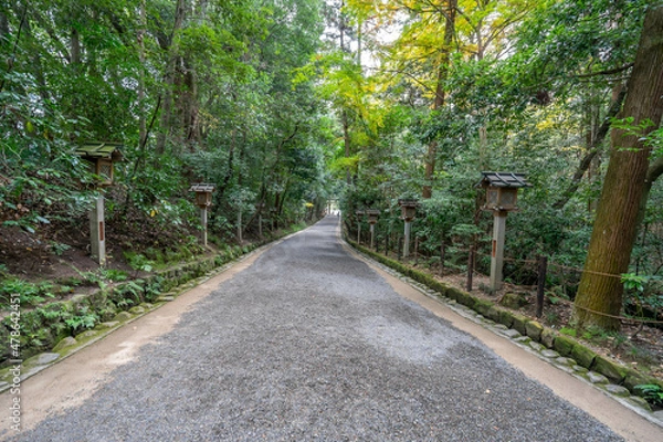Fototapeta 大神神社