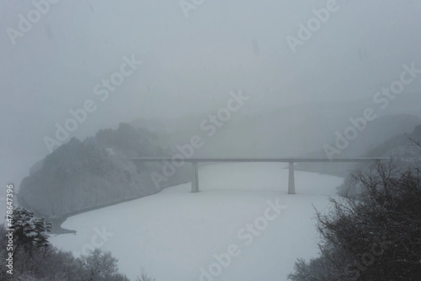 Obraz 吹雪の雪道