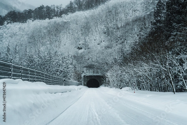 Obraz 雪国のトンネル