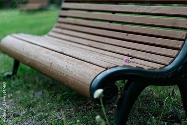 Obraz 春のベンチ