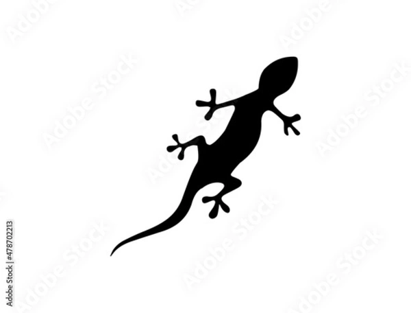 Fototapeta lizard icon vector 