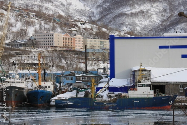Obraz Fishing and trading port in Petropavlovsk-Kamchatsky