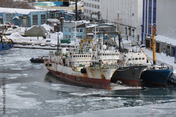 Obraz Fishing and trading port in Petropavlovsk-Kamchatsky