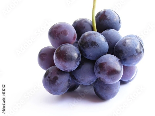 Obraz Czarne winogrona